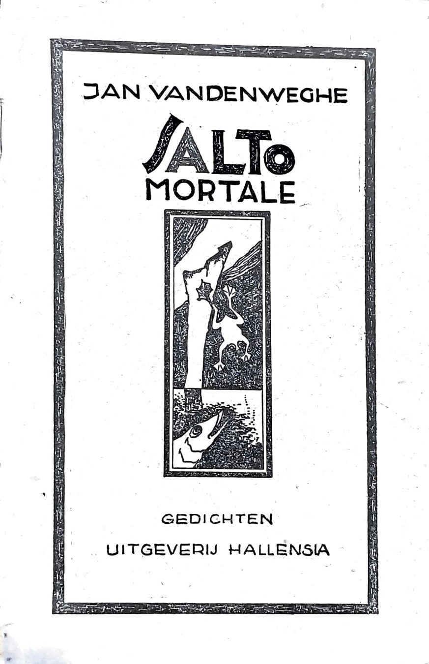 Boekomslag van Salto mortale