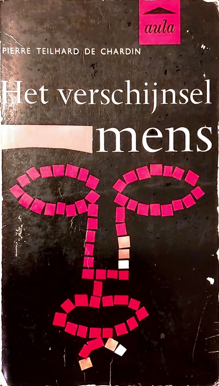 Boekomslag van Het verschijnsel mens