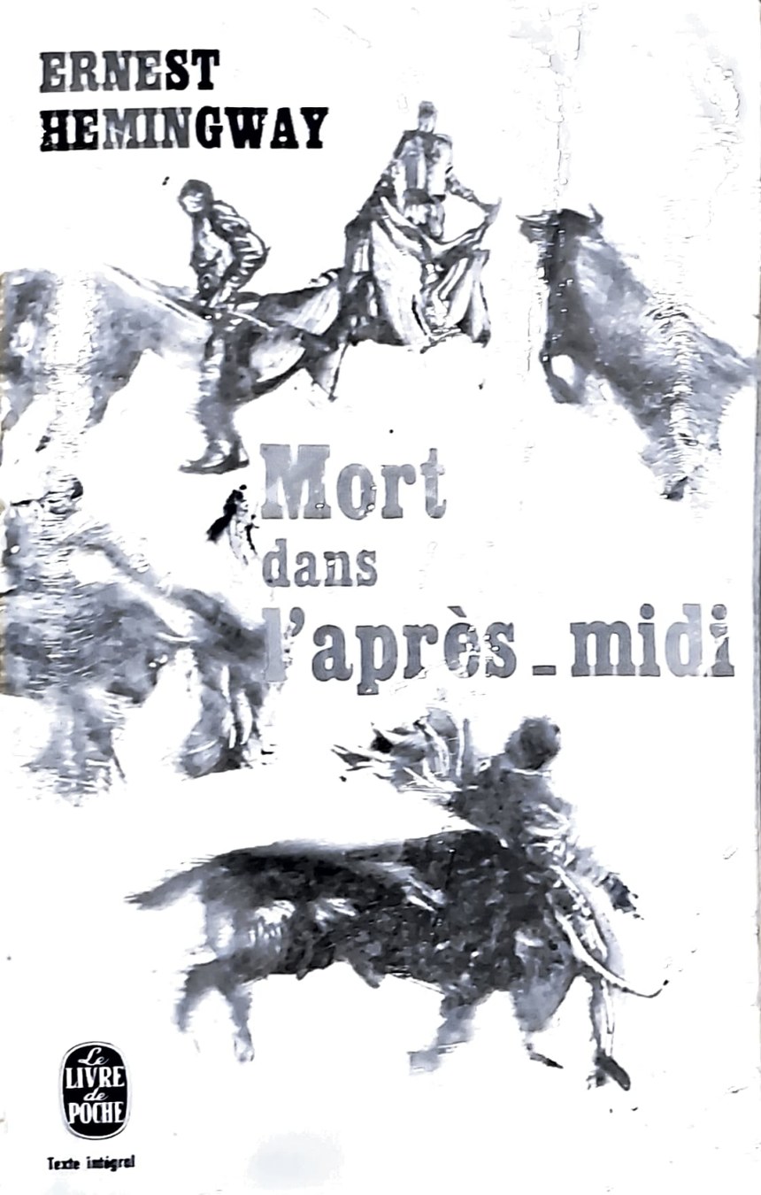 Boekomslag van Mort dans l’après-midi