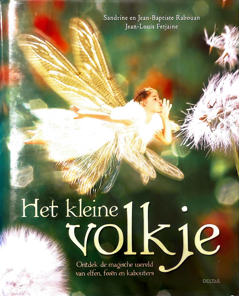 Boekomslag van Het kleine volkje