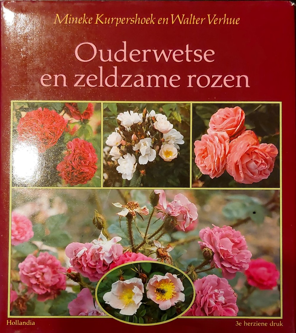 Boekomslag van Ouderwetse en zeldzame rozen
