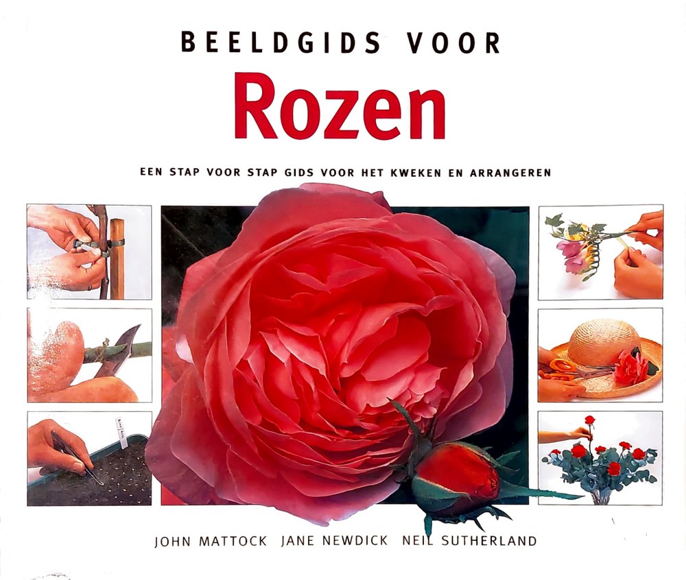 Boekomslag van Beeldgids voor rozen